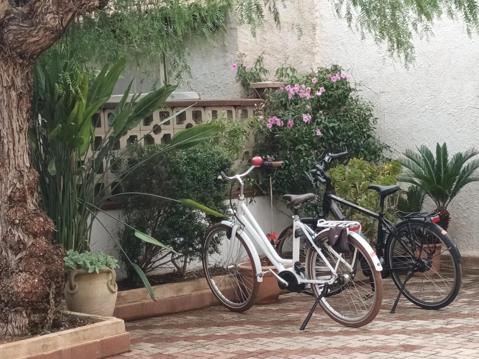 La Mimosa Case Vacanze Marsala Buitenkant foto